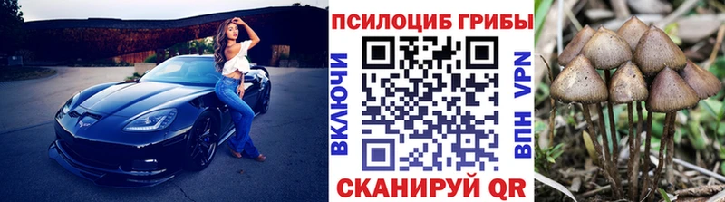 цены   Темрюк  OMG сайт  Псилоцибиновые грибы Psilocybine cubensis 
