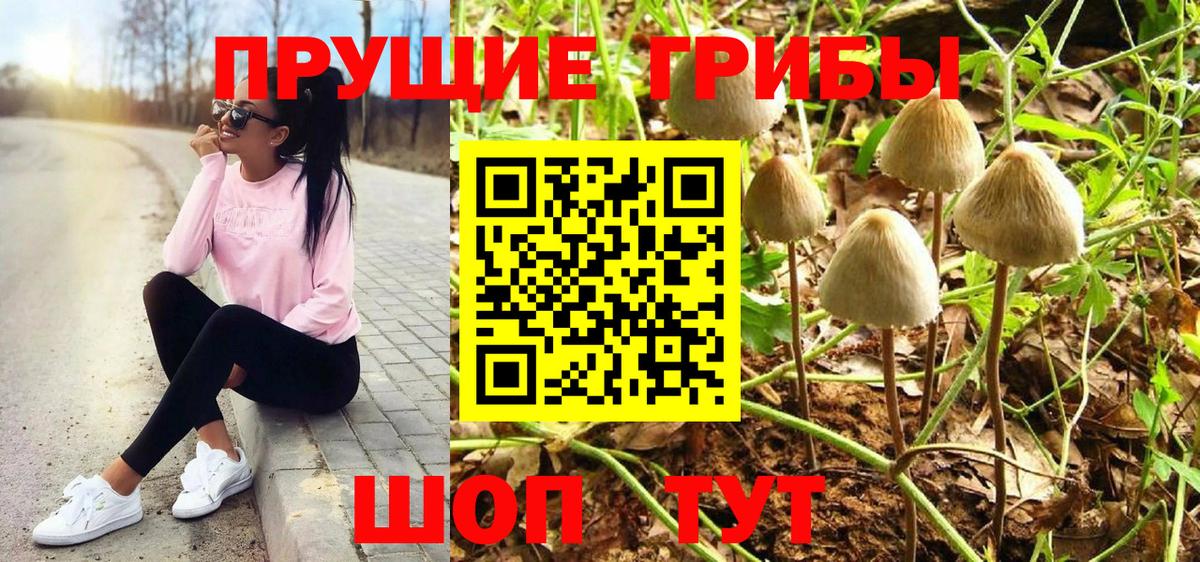 Псилоцибиновые грибы Magic Shrooms  Вход с VPN  Темрюк 